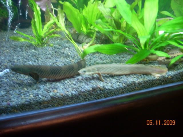 DSCN1085.jpg