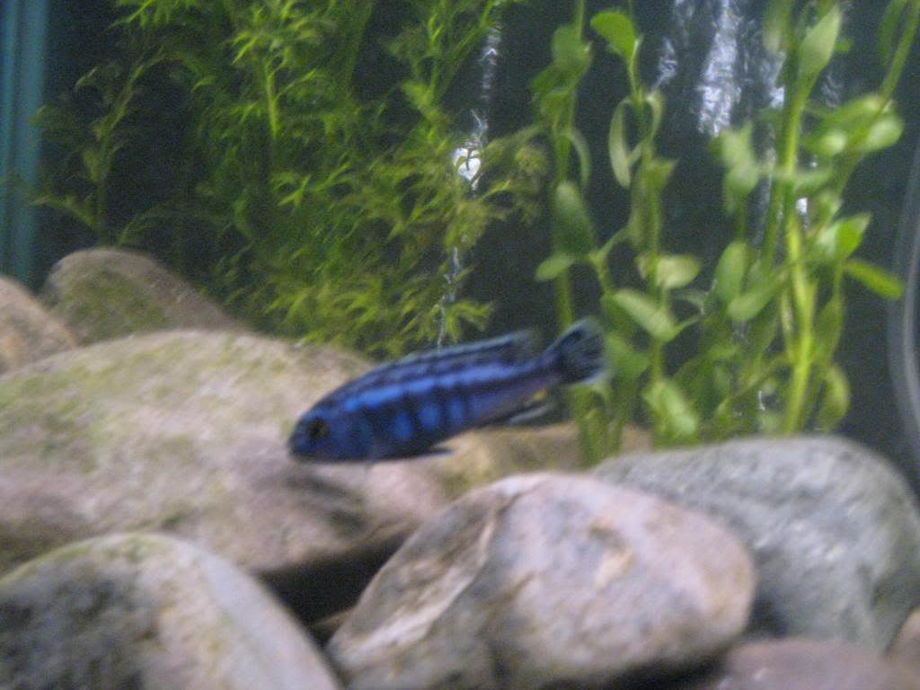 IMG_1056.jpg