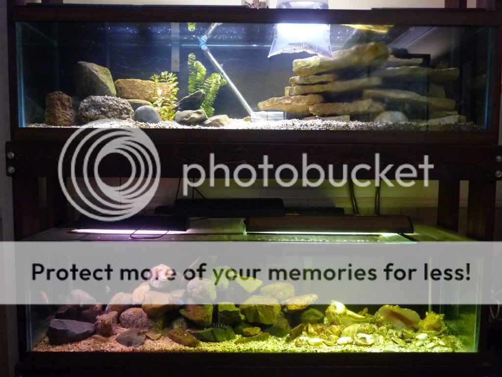 P1020300-Copy.jpg
