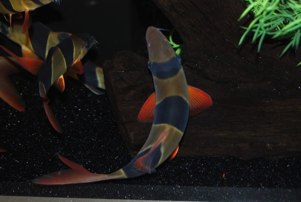 DSC_0250.jpg