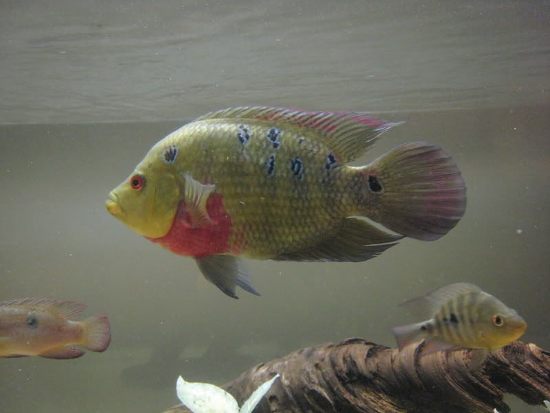 IMG_7938.jpg