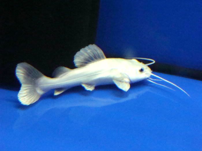 DSC01092.jpg