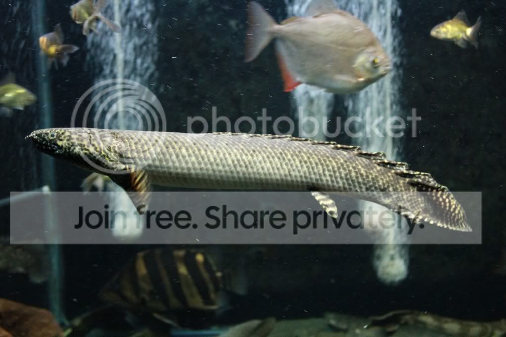 IMG_6435.jpg