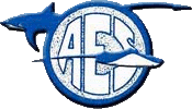 aeslogo.gif