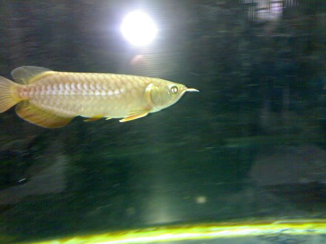 12012008041.jpg