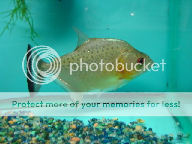 DSC05756.jpg