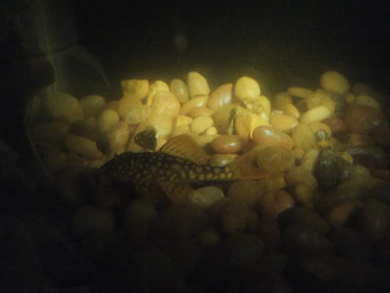 DSCF3213.jpg