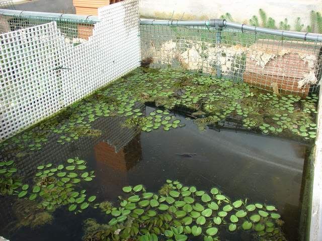 DSC04683.jpg