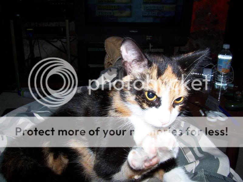 100_2998Medium.jpg