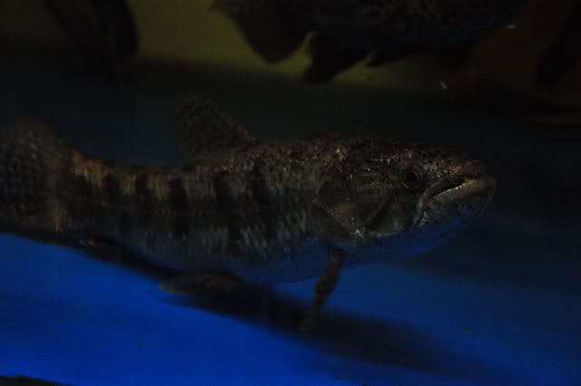 DSC_0560.jpg