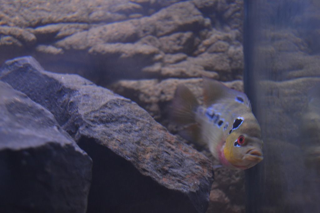 9-19-2012089_zps32c50cb5.jpg