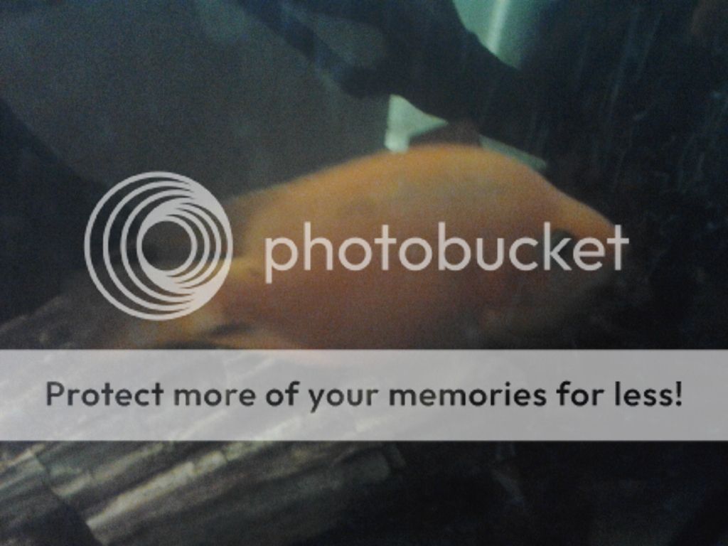 2011-11-08113056.jpg