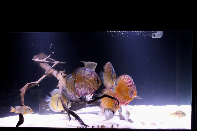 FTS.jpg
