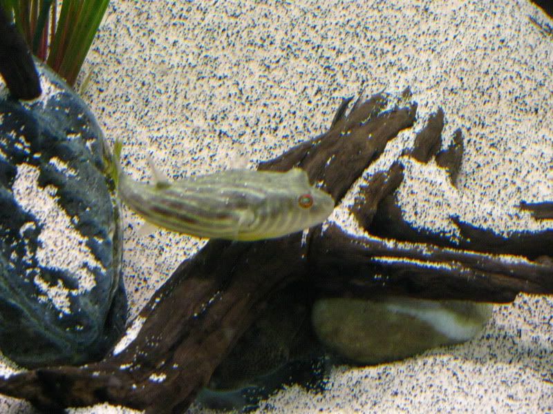Picture019.jpg