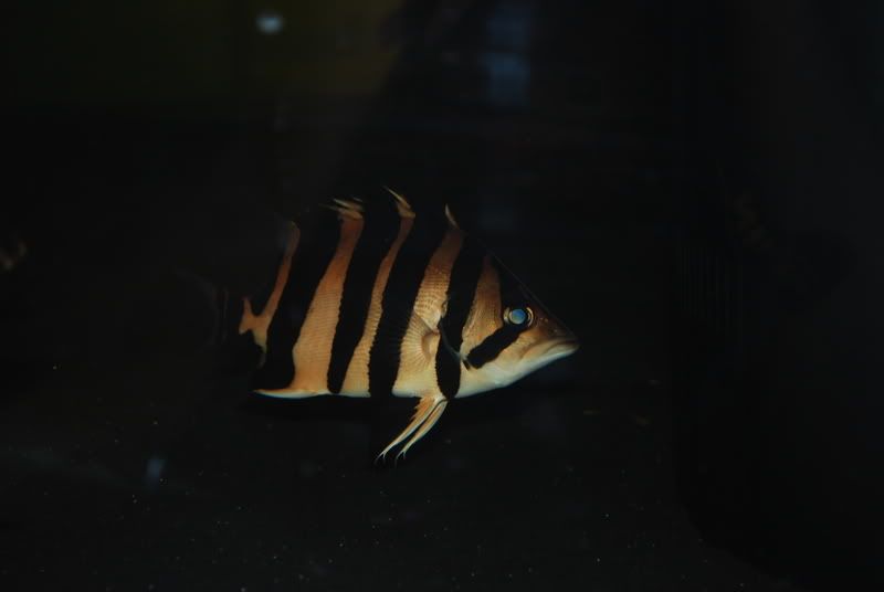 DSC_0034.jpg