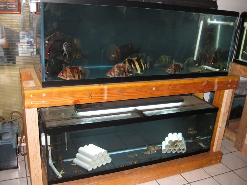 3-17-09046.jpg