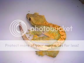 DSCN2786.jpg