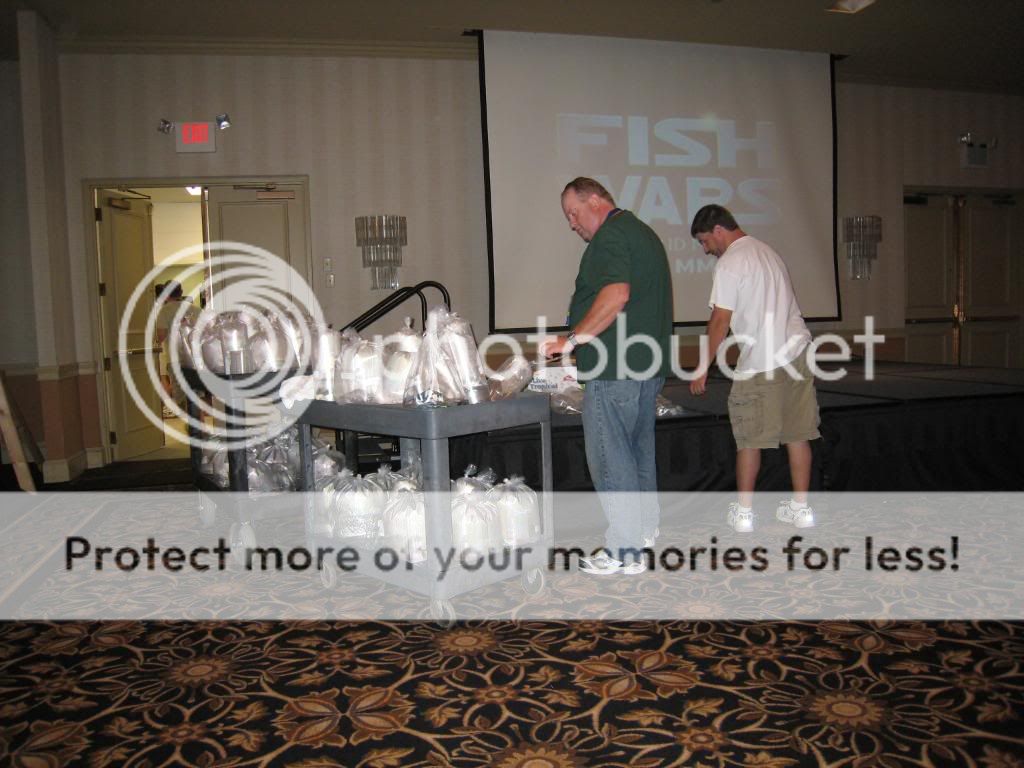 IMG_9520.jpg