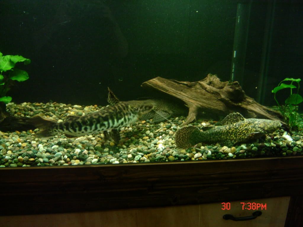 DSC04103.jpg