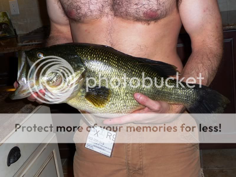 bigfish.jpg