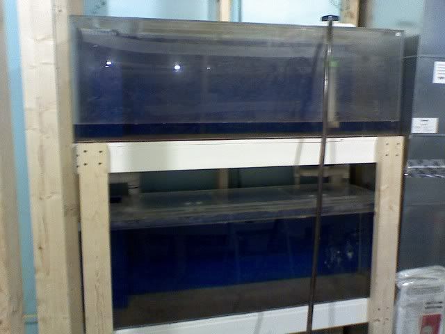 0717091701a.jpg