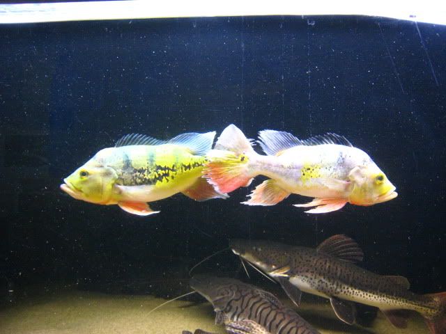 IMG_7373.jpg