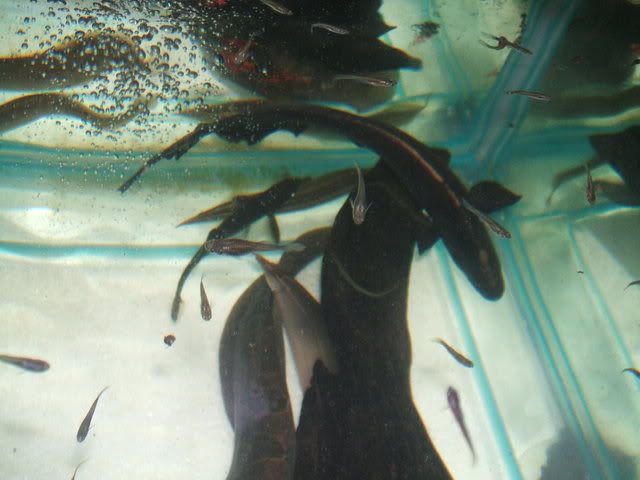 DSCF2399.jpg