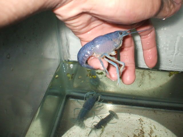 DSCF0942.jpg