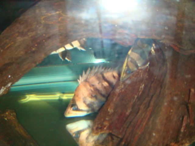 DSC01094.jpg