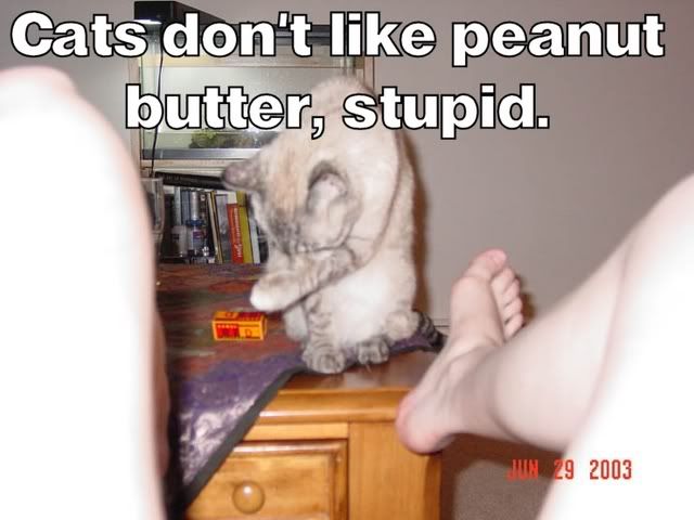 67562116_fLUyaXjJ_upperscatspnut.jpg