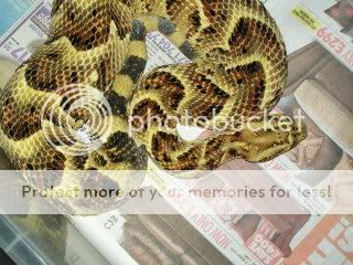 100_2586.jpg