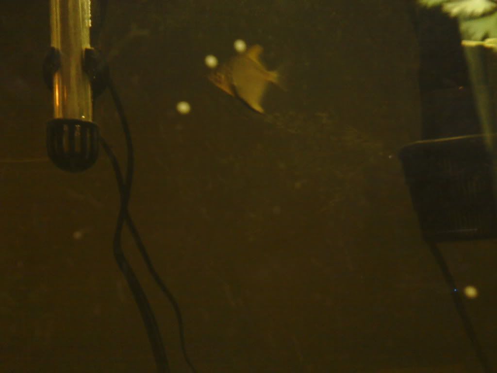 0409121026.jpg