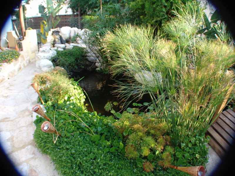 DSC00624.jpg