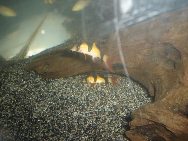 DSC09314.jpg