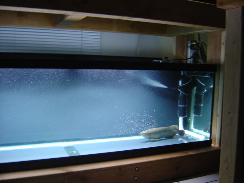 4-28-08006.jpg