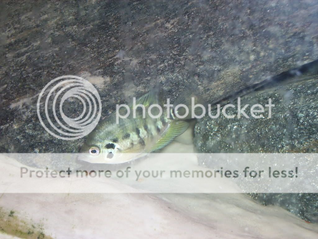 IMGP0225.jpg