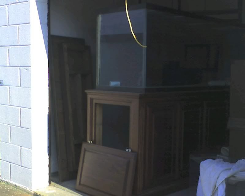 img353.jpg