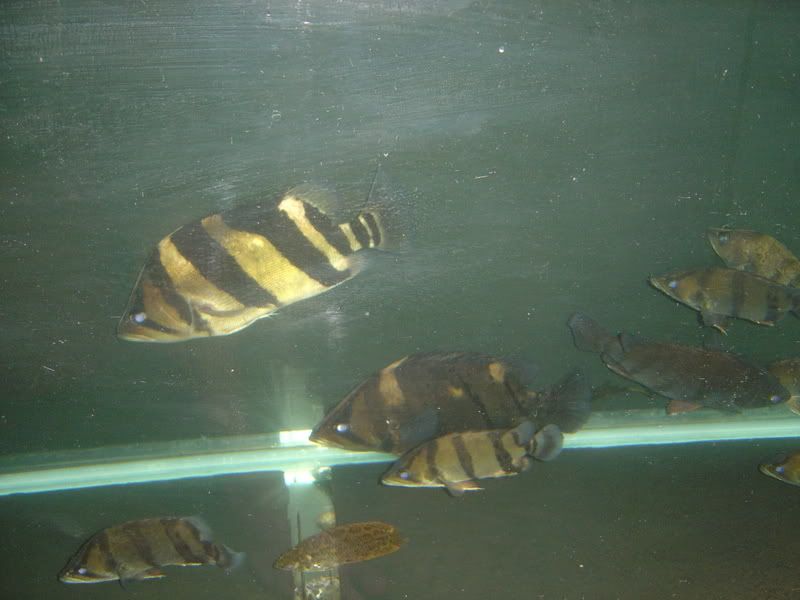 120g009.jpg
