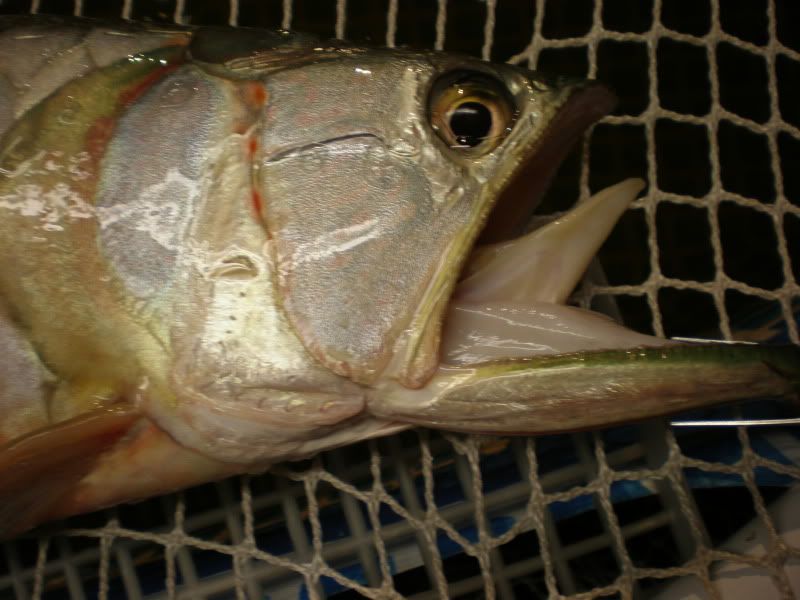 PB220010.jpg