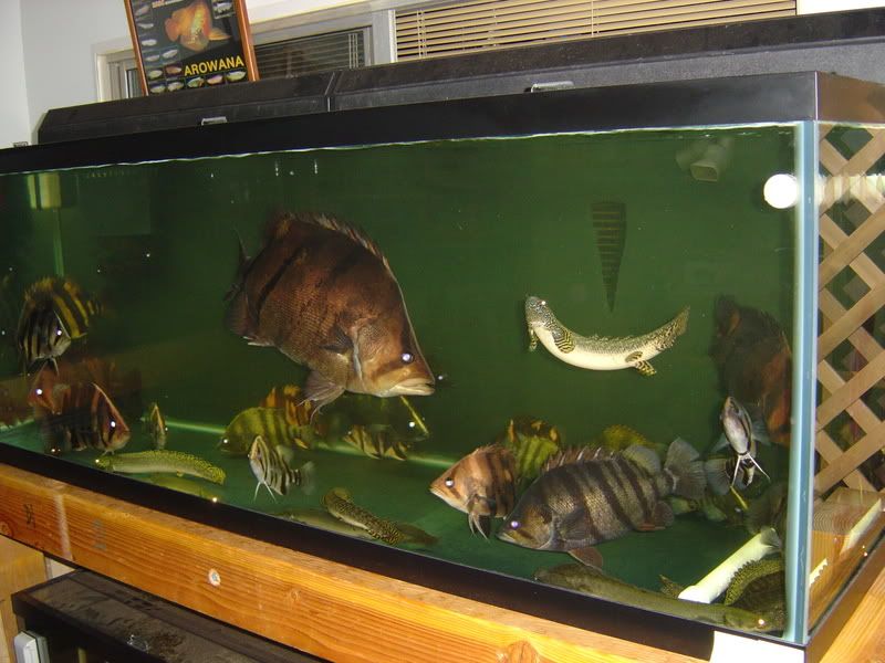 10-18-08036.jpg