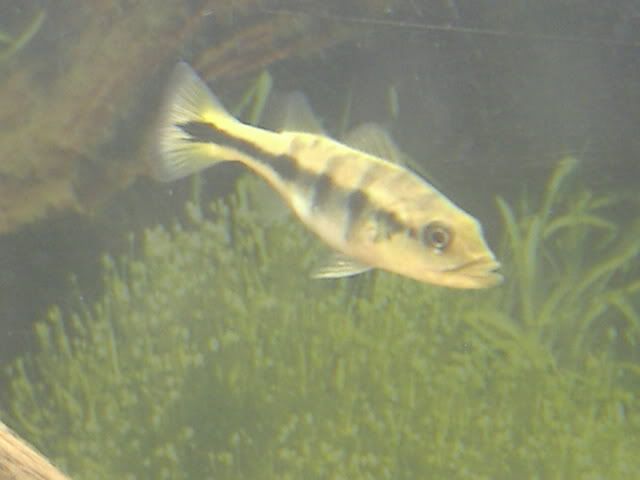 DSCF9326.jpg