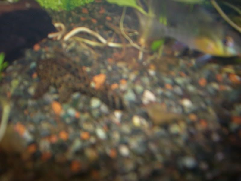 100_1154.jpg