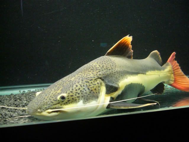 P1160423.jpg