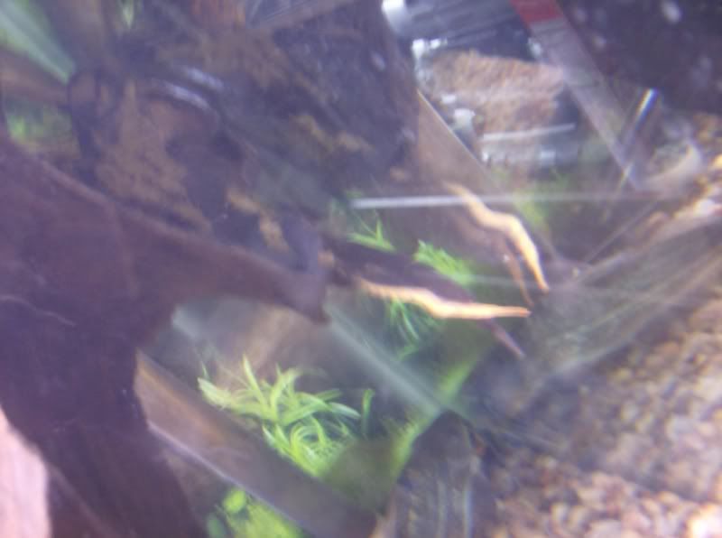 HPIM0355.jpg