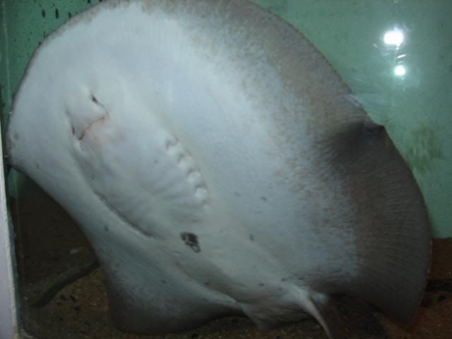 DSC08412.jpg