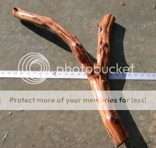 DSCN3118.jpg