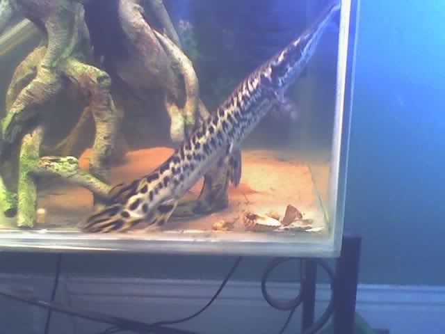 Picture011.jpg