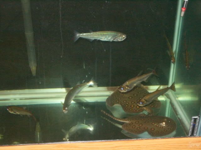 PICT8886.jpg