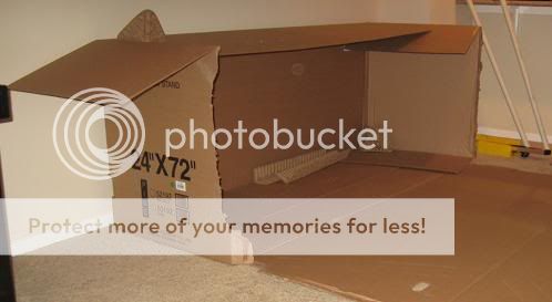Picture250.jpg