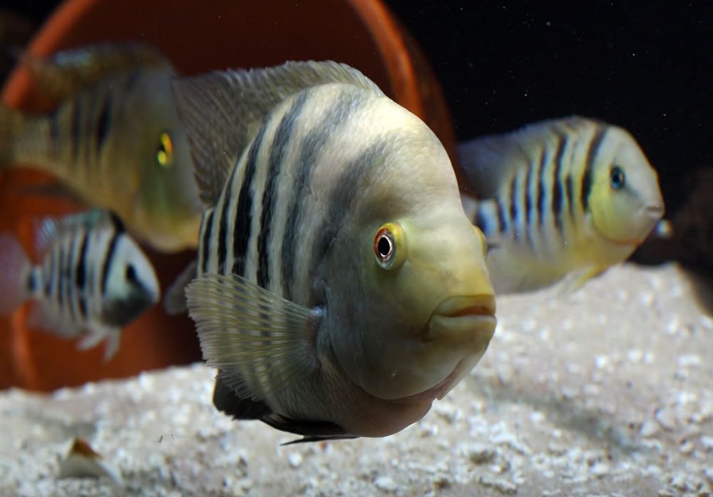 aIMG_0165.jpg